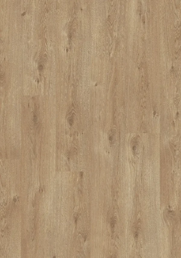 Roble marron 61028