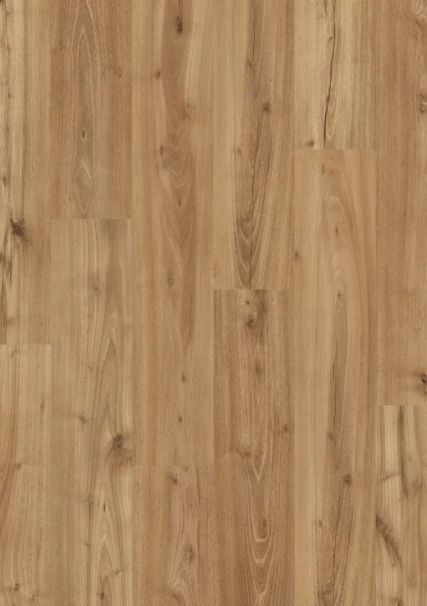 Roble Brescia 61091