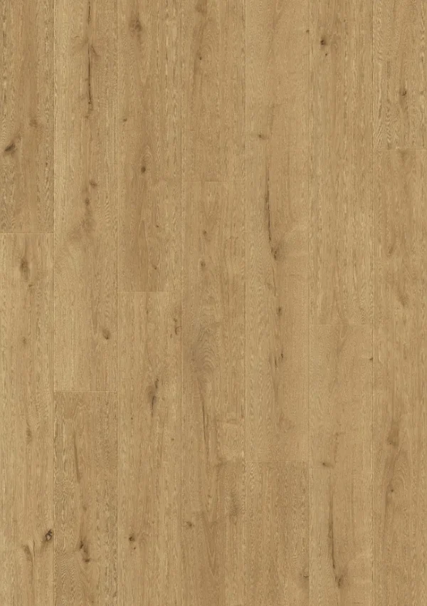 Roble campana 61019