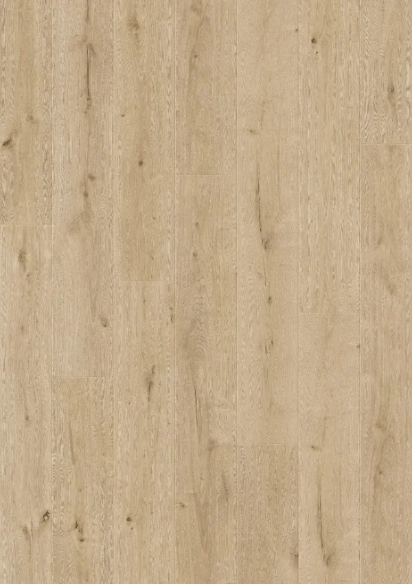 Roble cebú 61020