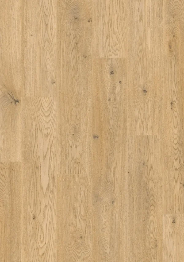Roble elegante natural 60179