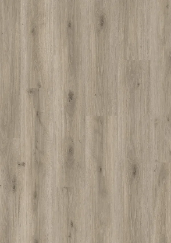 Roble Padua 61089
