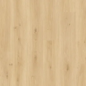 Roble treviso 61087