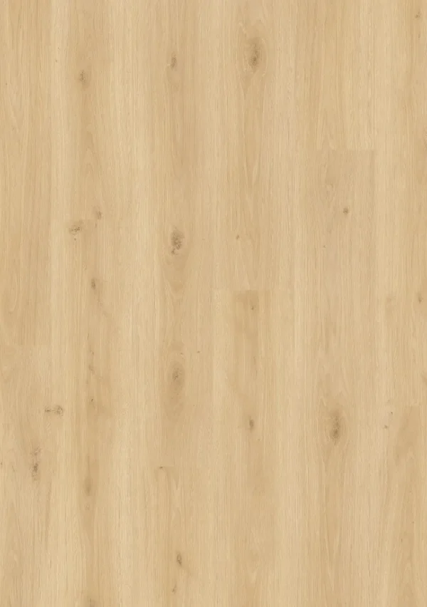 Roble treviso 61087